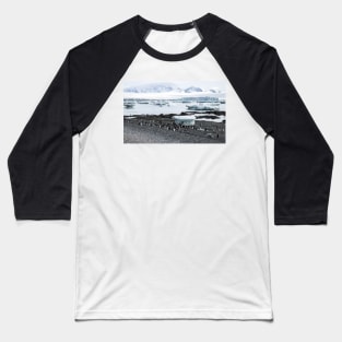 Gentoo penguins at Brown Bluff Baseball T-Shirt